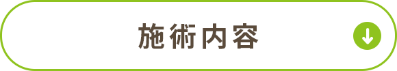 施術内容